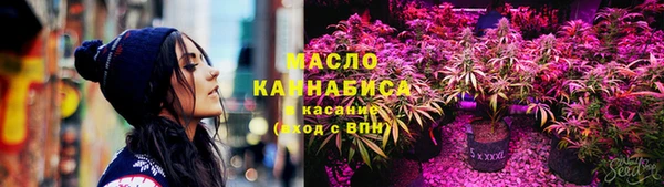 МДПВ Михайлов