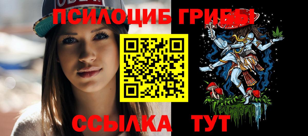 Галлюциногенные грибы Psilocybe  Вход с VPN  купить наркоту  Отрадное 