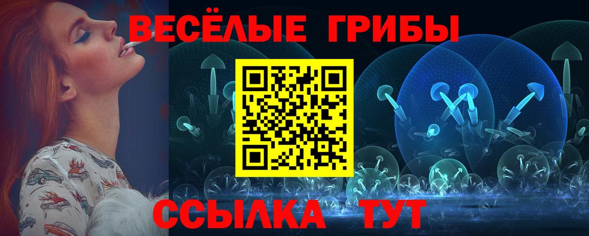 Галлюциногенные грибы Psilocybe Отрадное